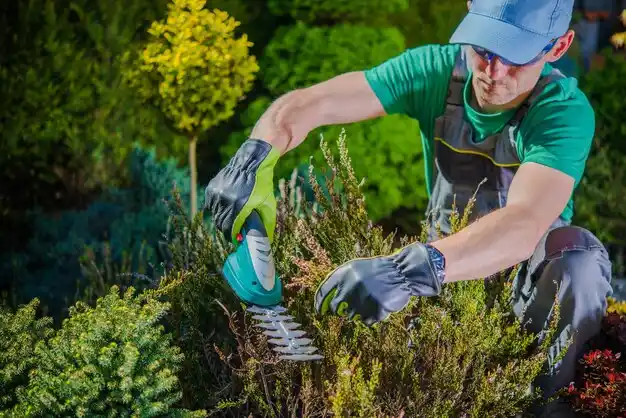 landscaping services Auxier